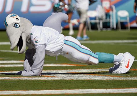 The Miami Dolphins' Real Dolphin Mascot: A Difference Maker On and Off the Field